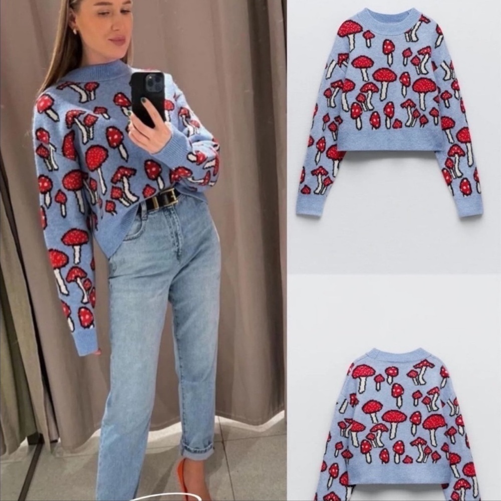 Zara Blogger's Favorite Knit Mushroom Long Sleeve Crew Neck Novelty Sweater - Picture 8 of 16